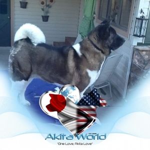 Meet your Posher, Rob